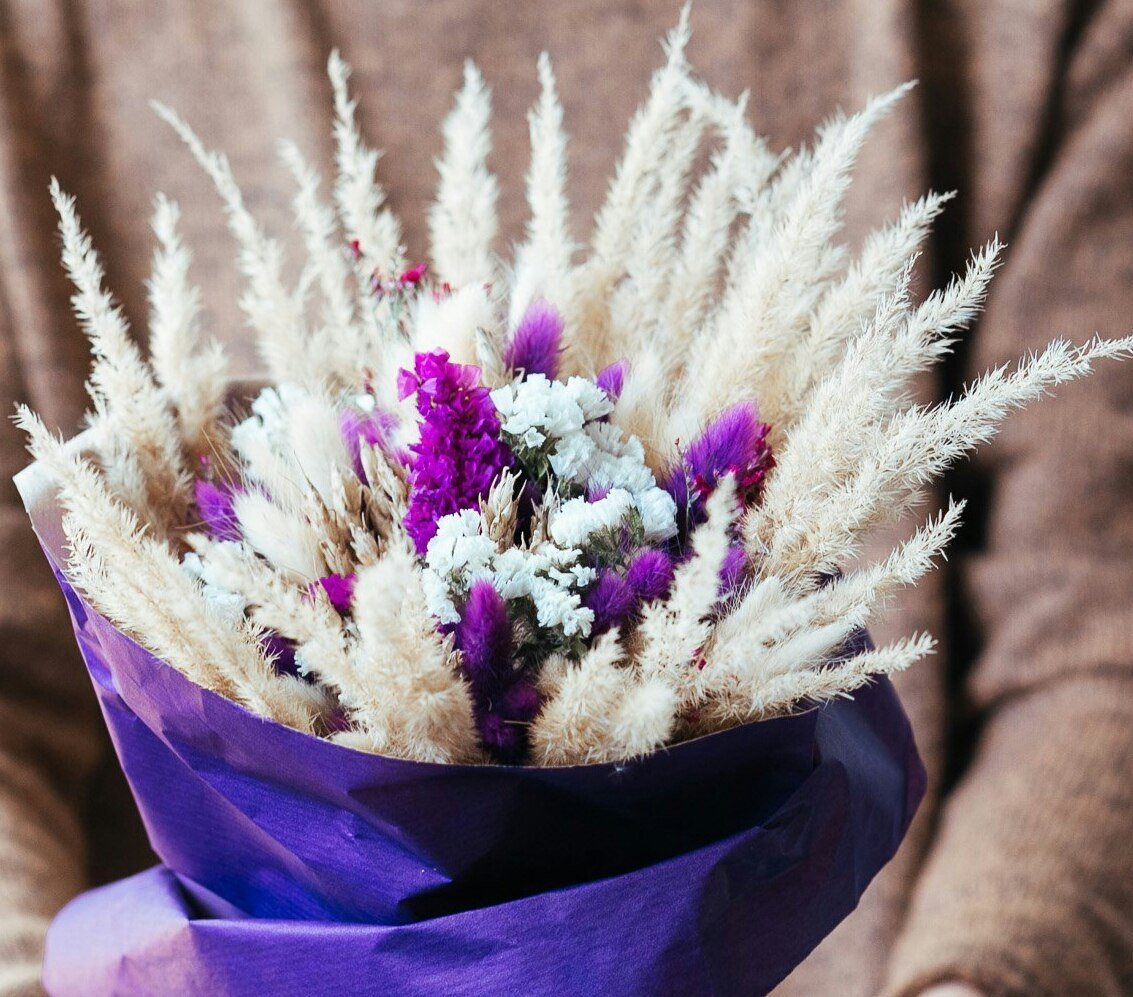 Статица берграс