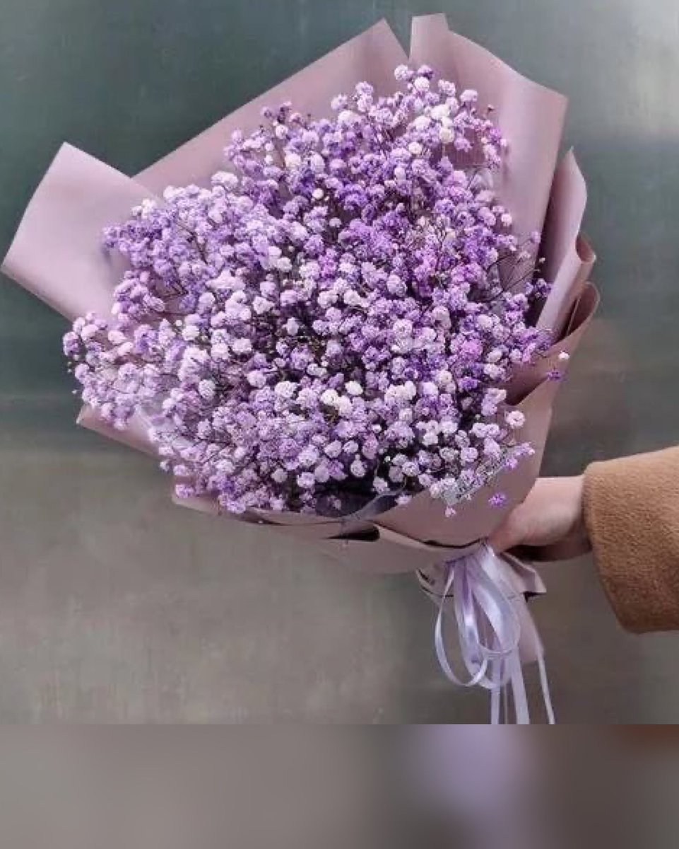 Статица кермек сухоцвет