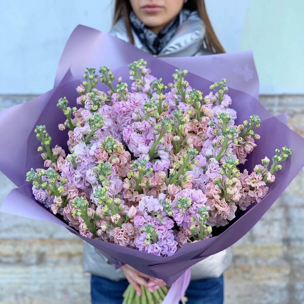 Розы и статица