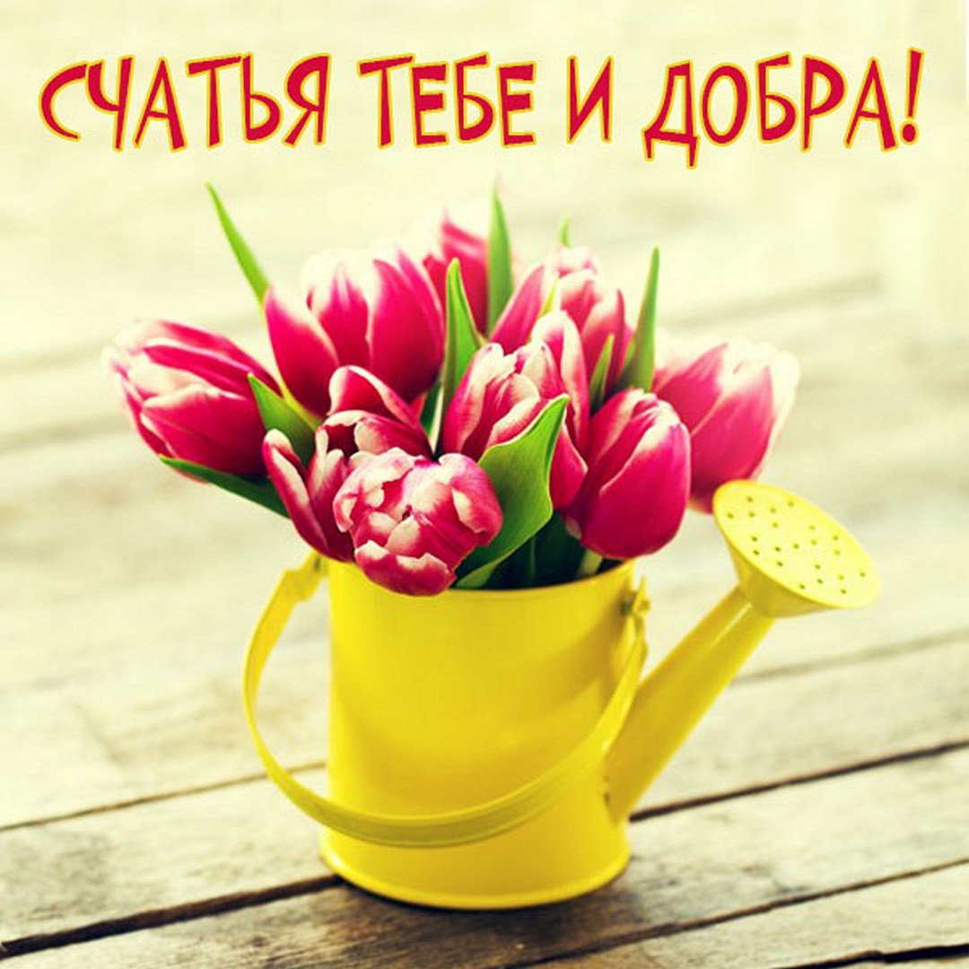 Скорейшего выздоровления открытка