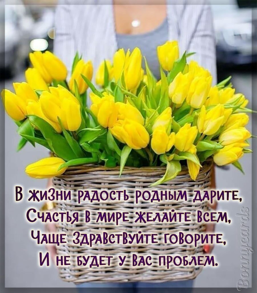 Букет тюльпанов с добрым утром