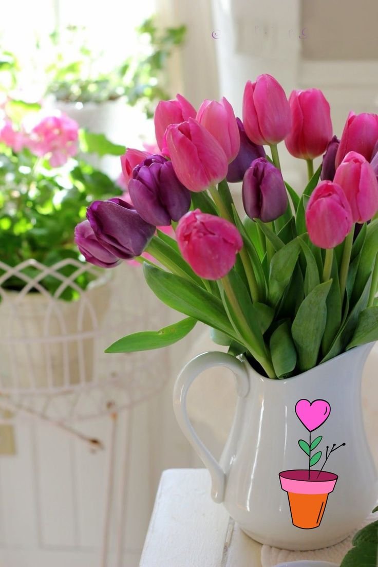 Утренние тюльпаны