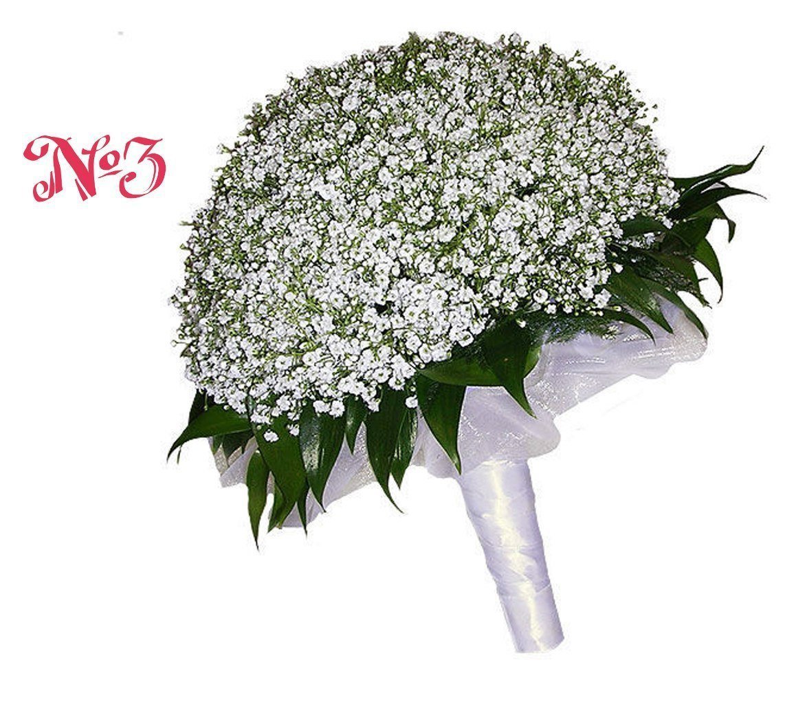 Гипсофила метельчатая Сноуфлейк