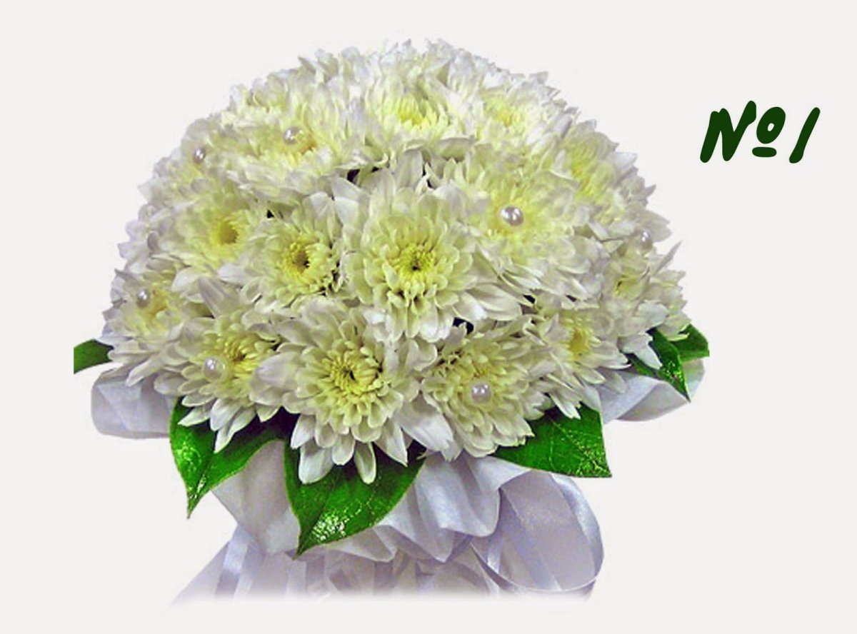 Хризантема кустовая белая