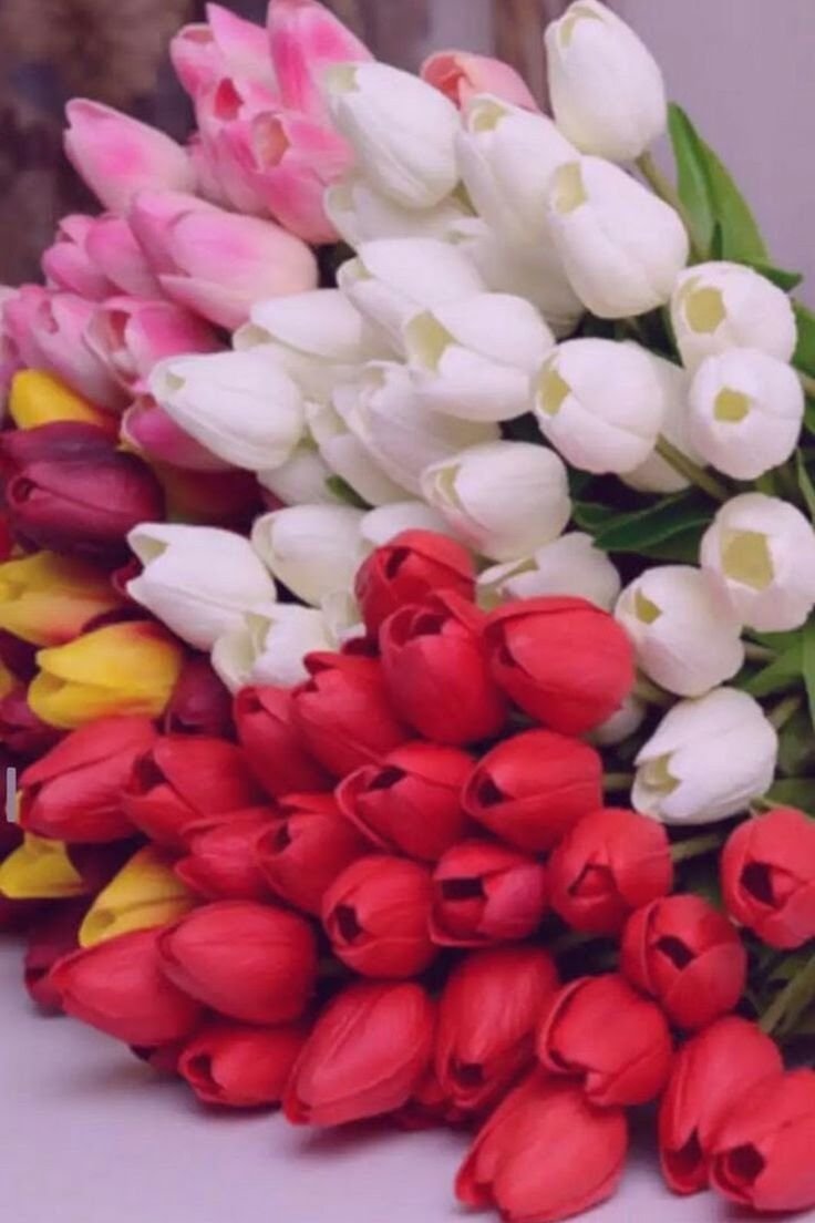 Букет тюльпанов