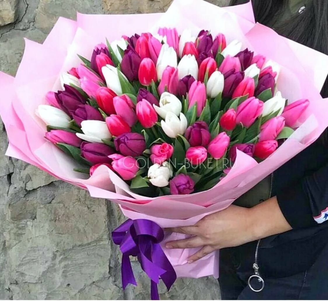 Красивые розовые тюльпаны