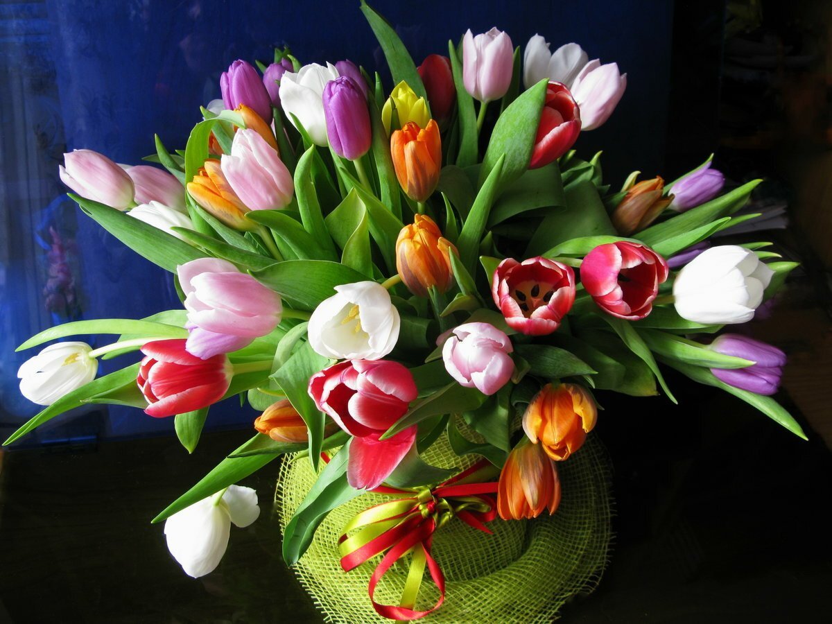 С 8 марта тюльпаны