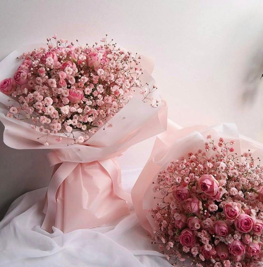 Гипсофила Эстетика