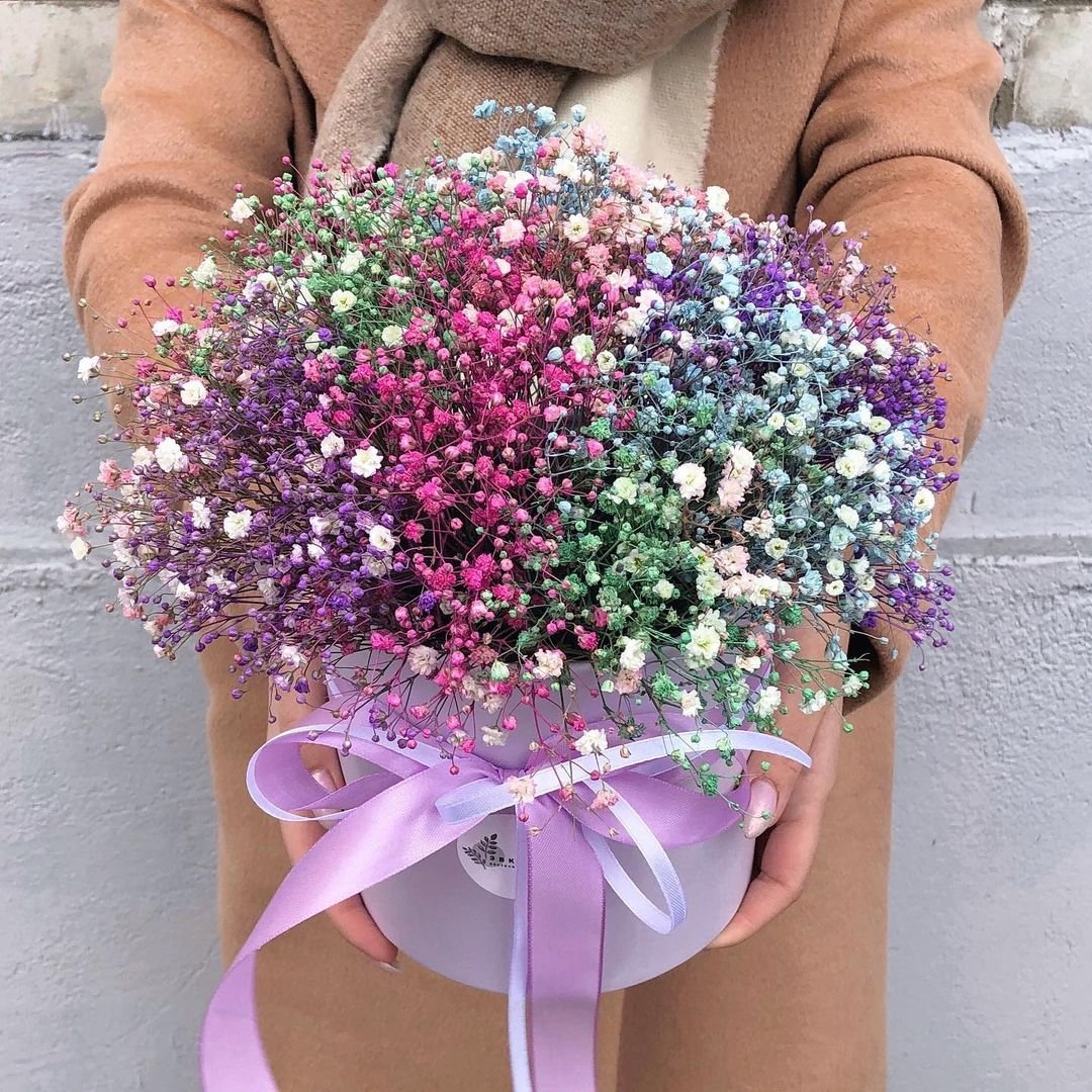 Гипсофила метельчатая Пинк