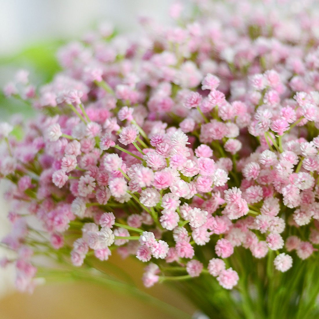 Гипсофила Тихоокеанская розовая