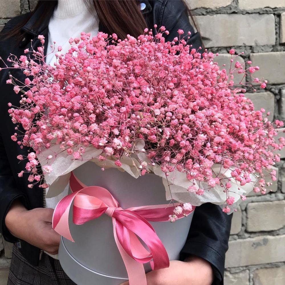 Гипсофила Рейнбоу сиреневые