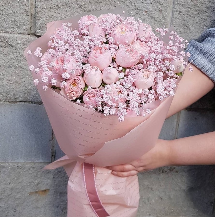 Гипсофила розовая