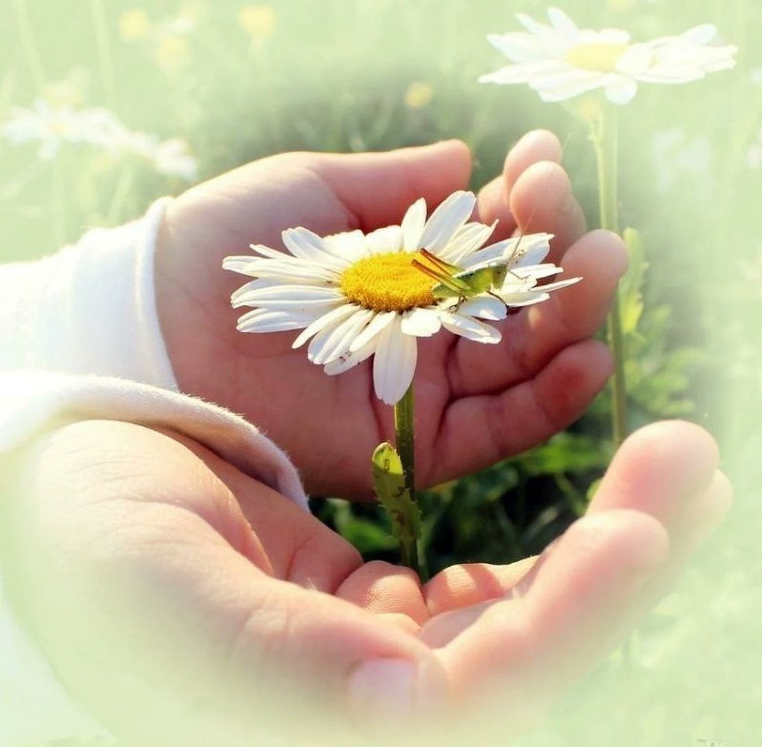 Доброта и нежность