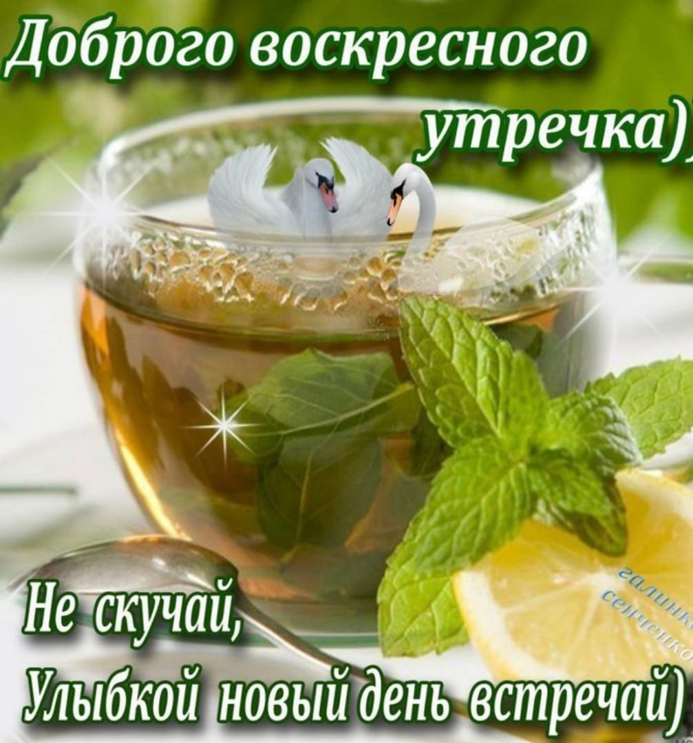 Открытки с добрым утром воскресенья