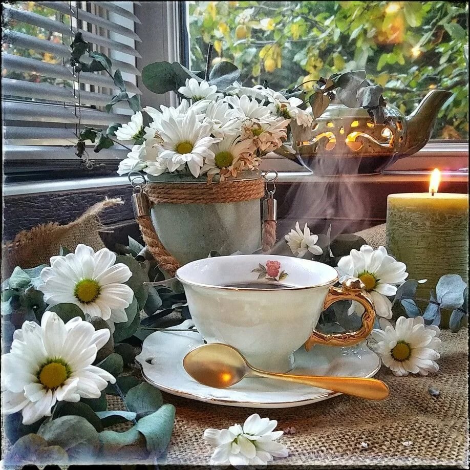 Доброе ленивое утро воскресенья