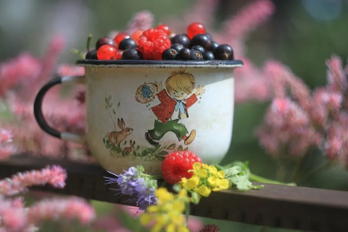 Доброго воскрестного утро.