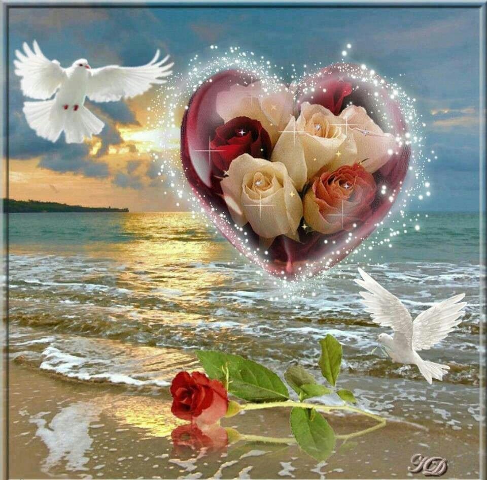 Счастья любви и тепла