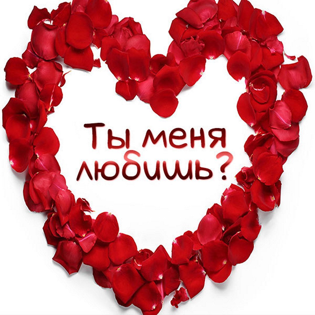 Прости меня любимая