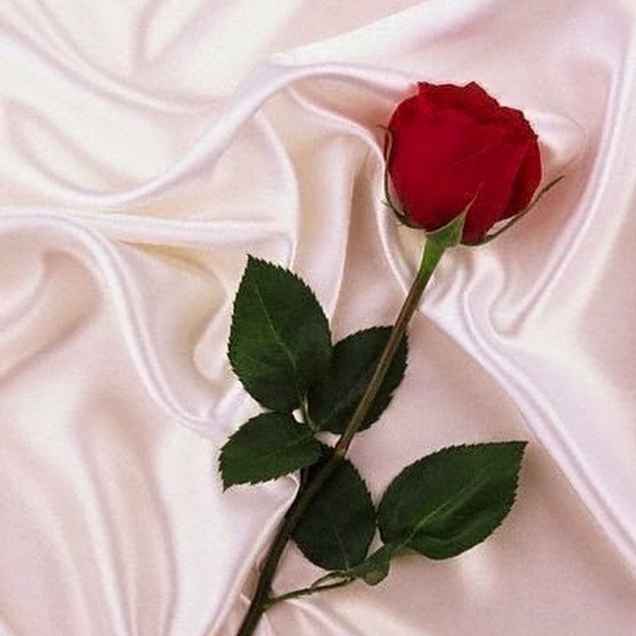 Красивые стихи красивой девушке