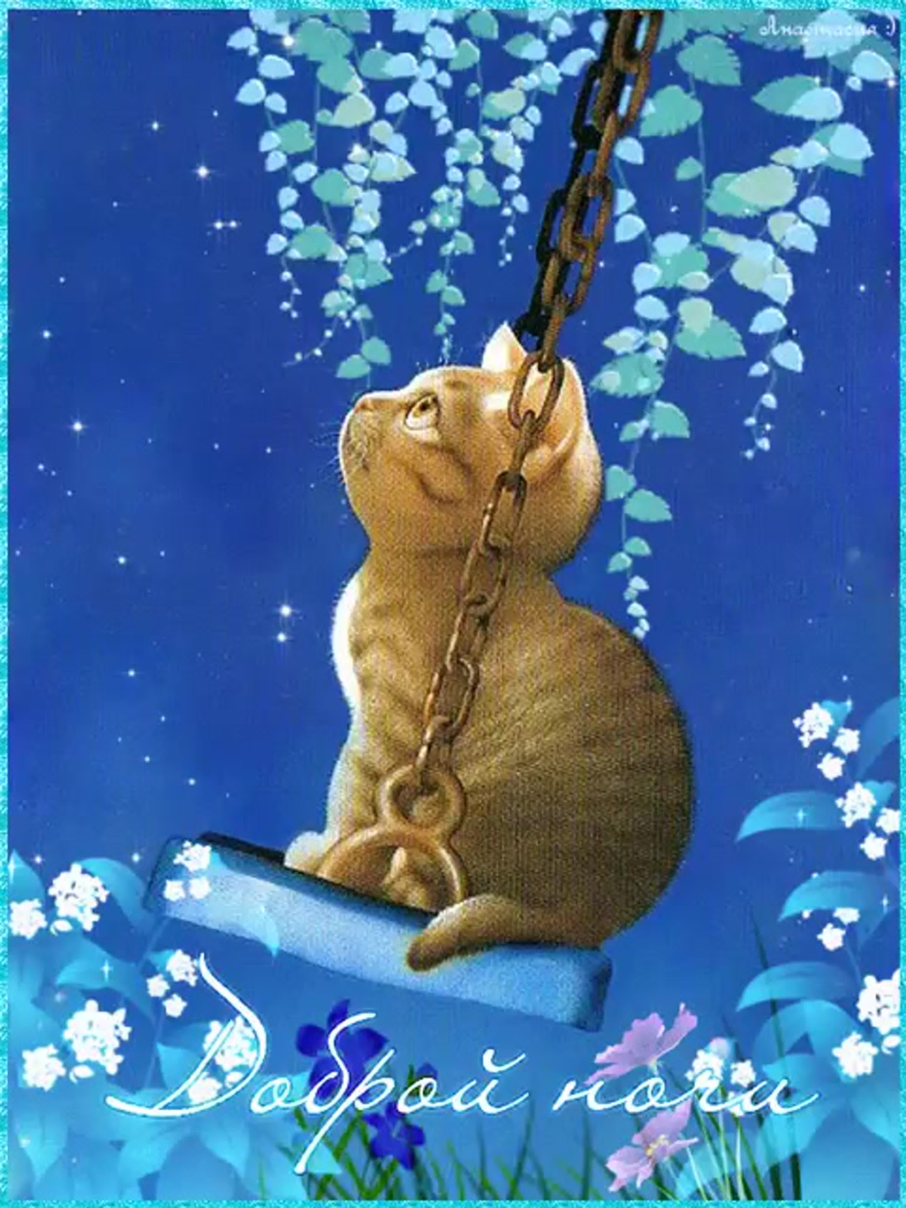 Спокойной ночи мартовской картинки весенние. Коты Макото Мурамацу. Доброй ночи с животными прикольные. Доброй ночи с котятами. Доброй мартовской ночи.