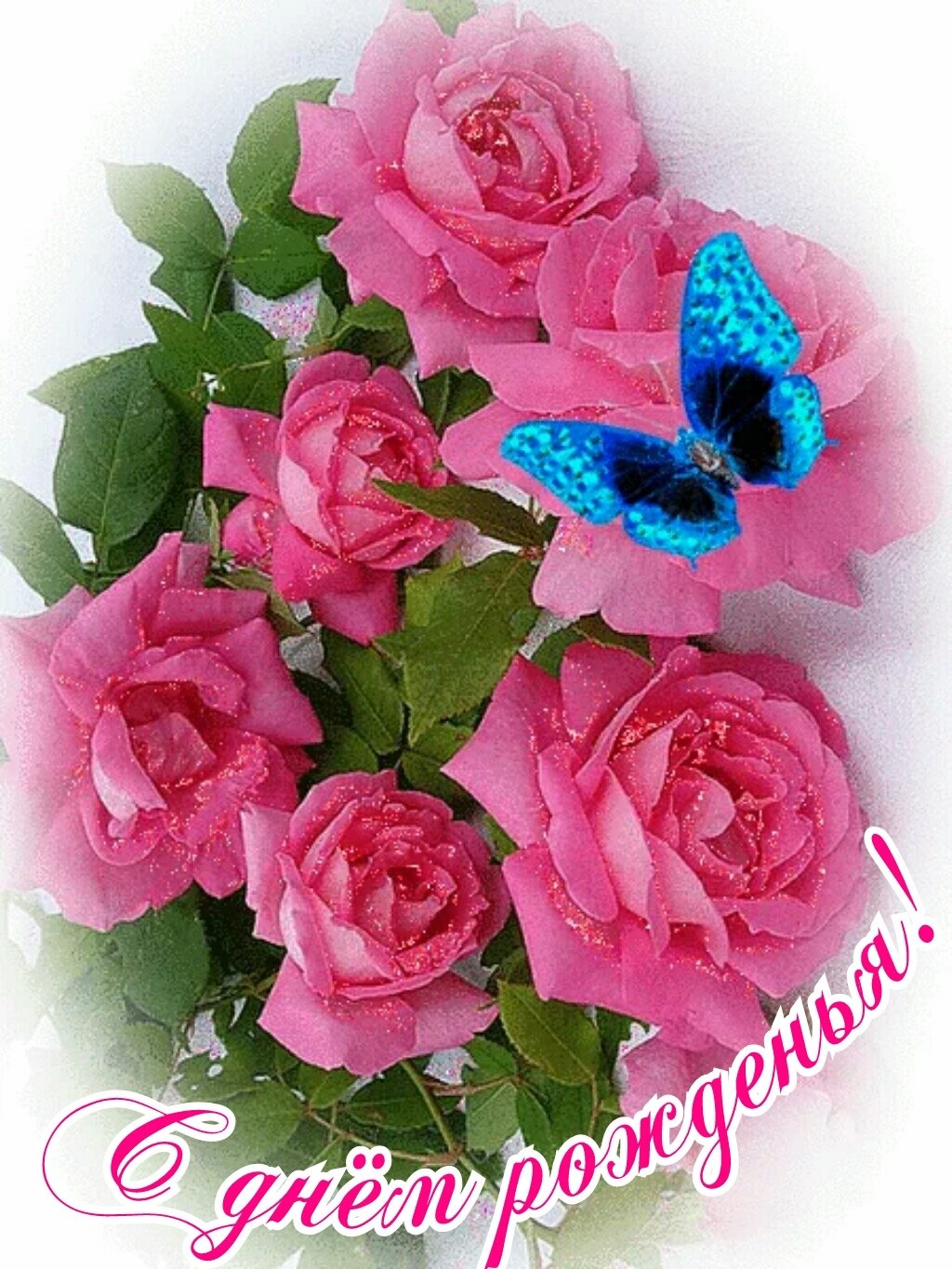 Розовые розы анимация