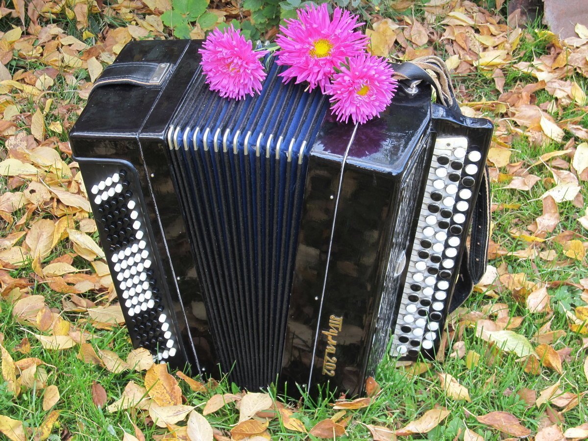 Красивый баян