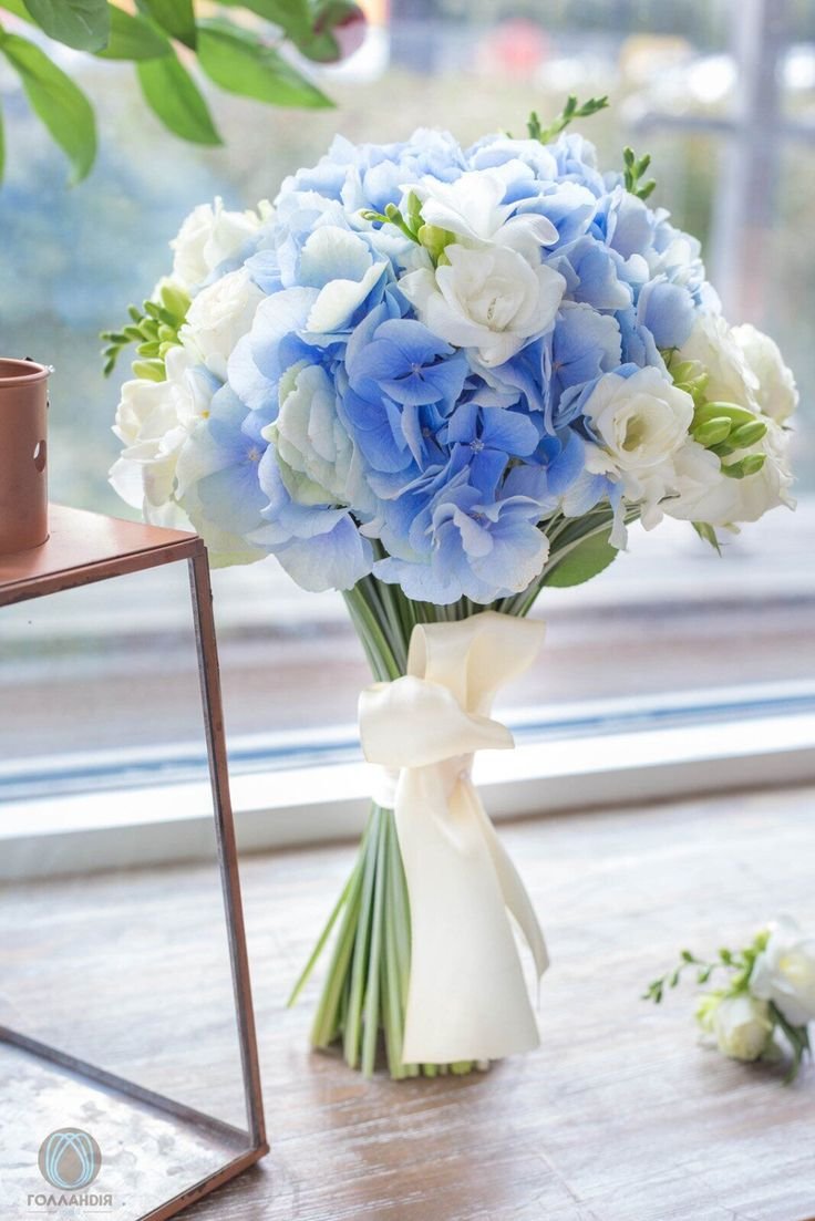 Дельфиниум гортензия эустома