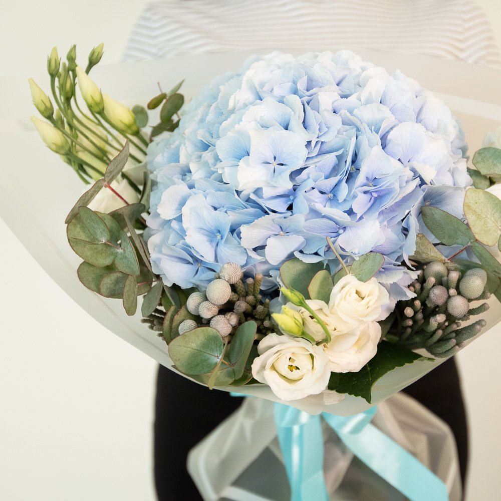 Гортензия эвкалипт лизиантус