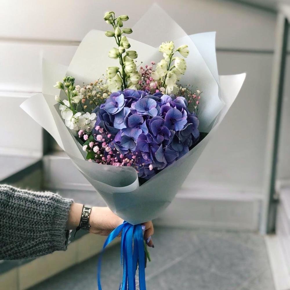 Гортензия эвкалипт фрезия