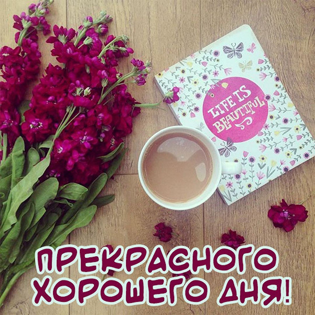 Добрый день Инстаграм