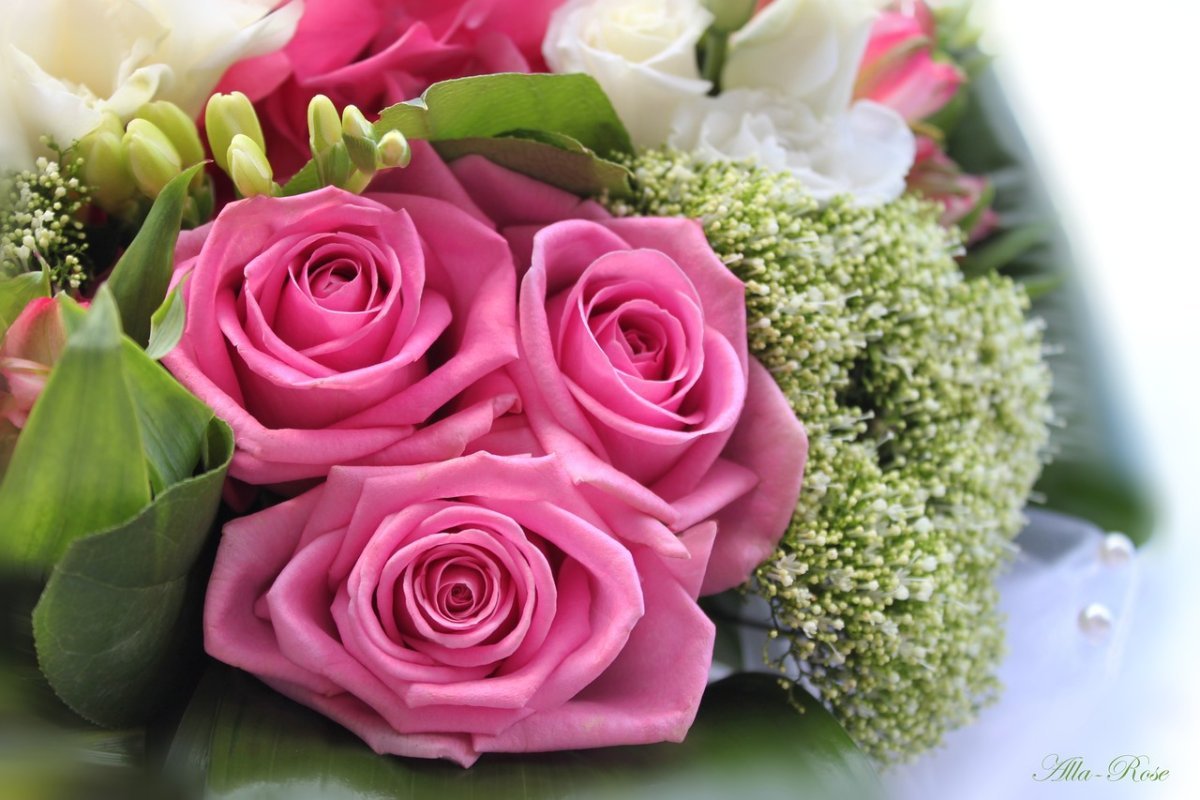 С днем рождения