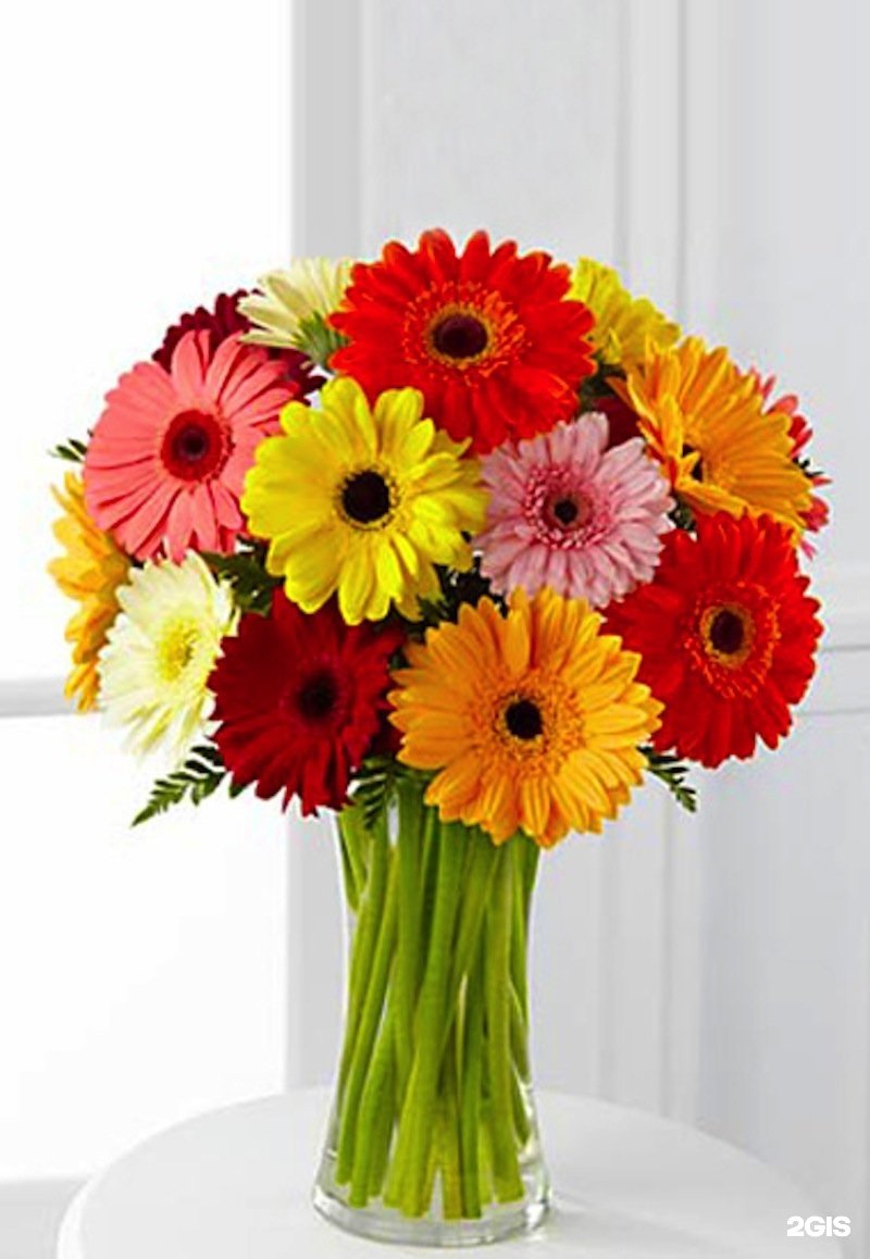 Gerbera Daisy Bouquet