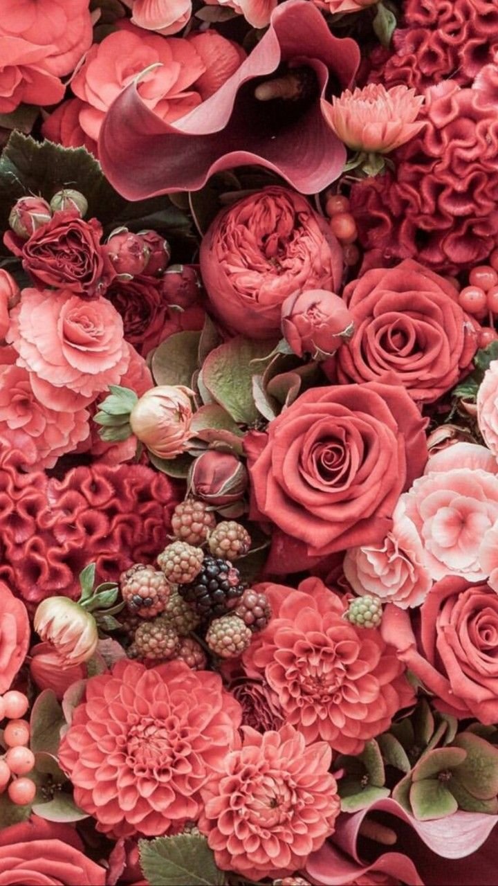 Обои на айфон