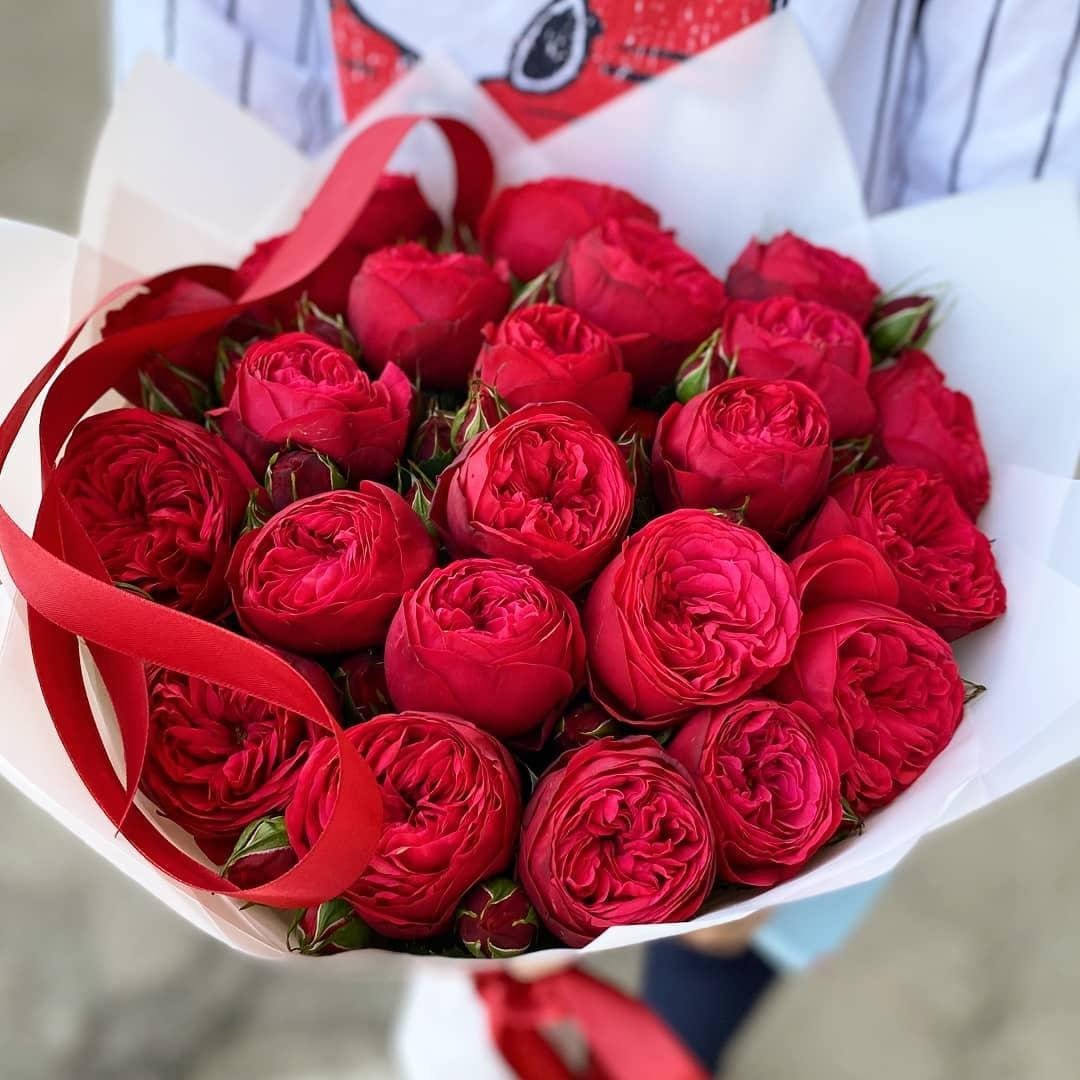 Пионовидные розы красные