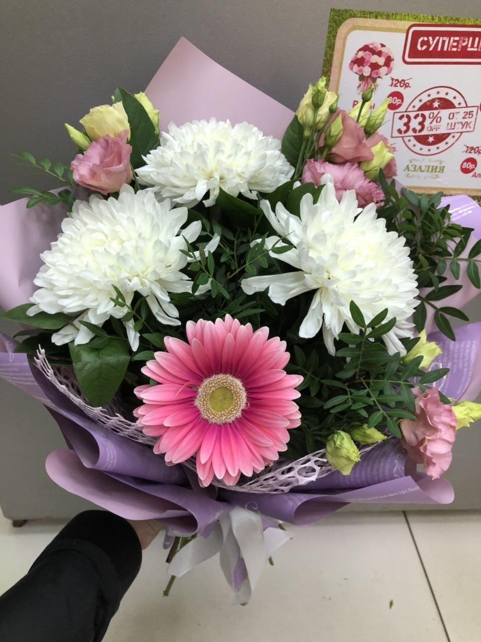 Хризантема одноголовая Холидей