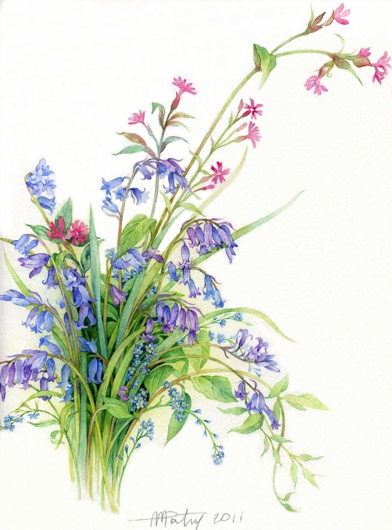 Anne Marie Patry акварели