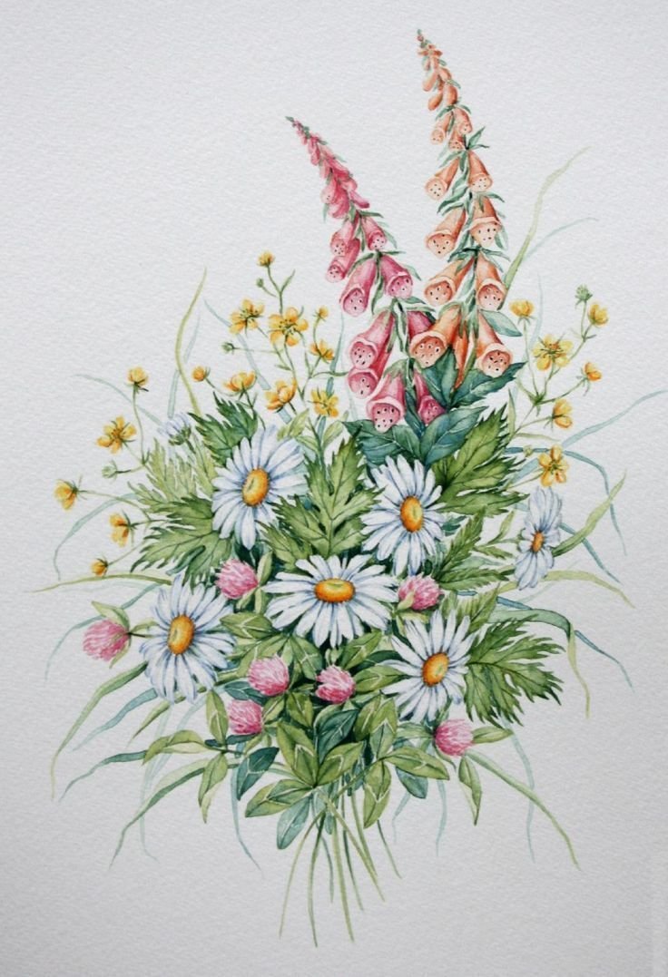 Полевые цветы акварелью