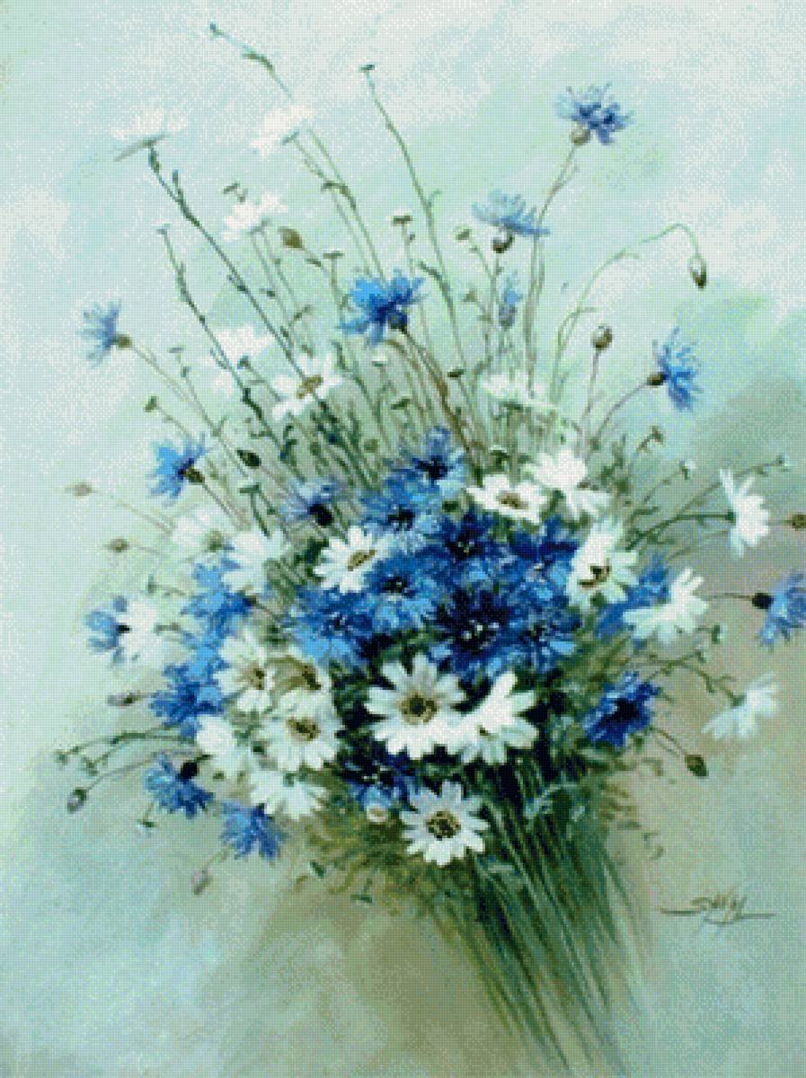 Красивый букет полевых Васильков