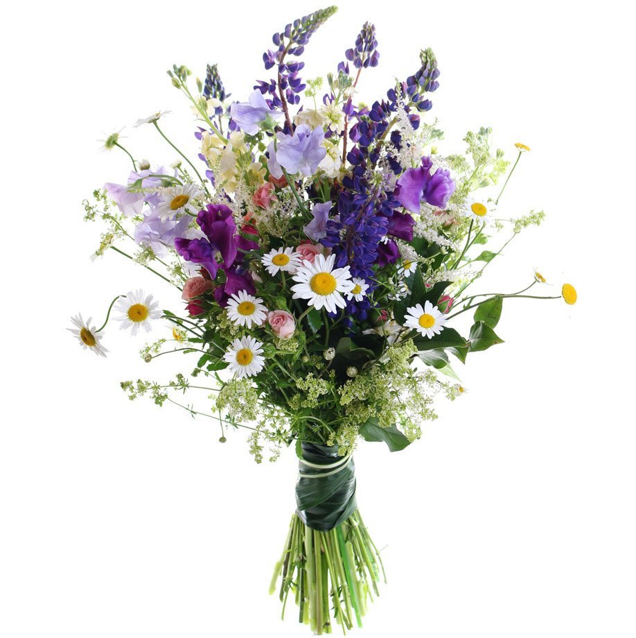 Ольга Стерник художник