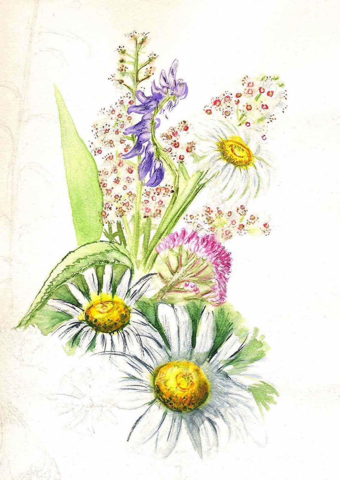 Букет полевых цветов