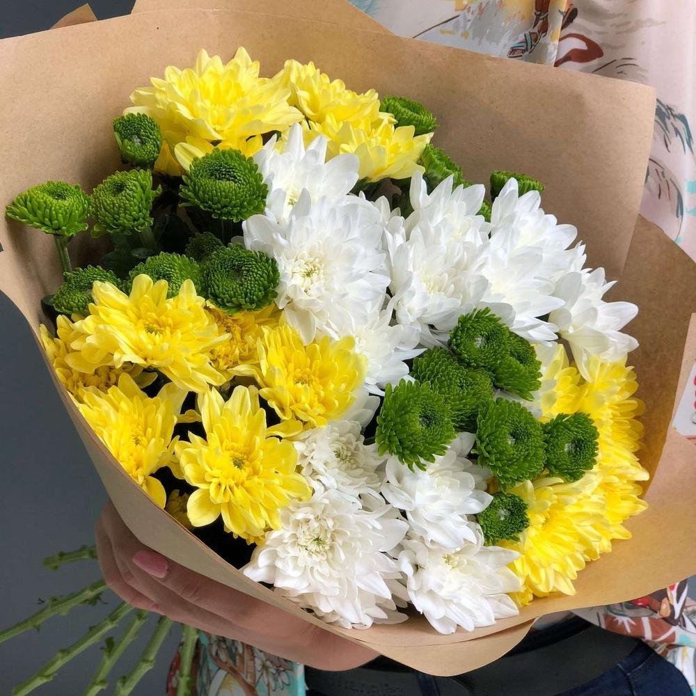 Хризантема Сантини Ауринко