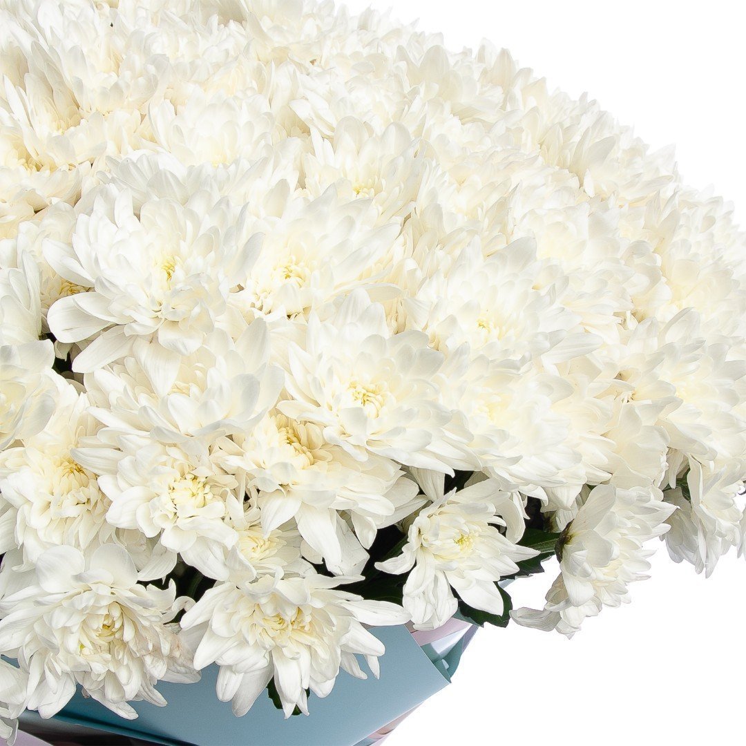 Букет 51 цветная Хризантема