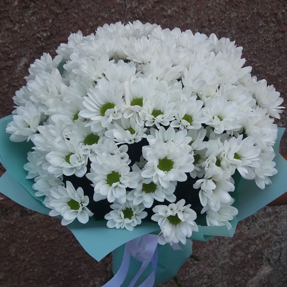 Хризантема Букетная торжество