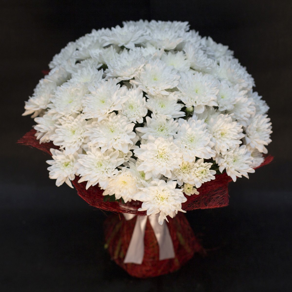 Хризантема Серенити Свит