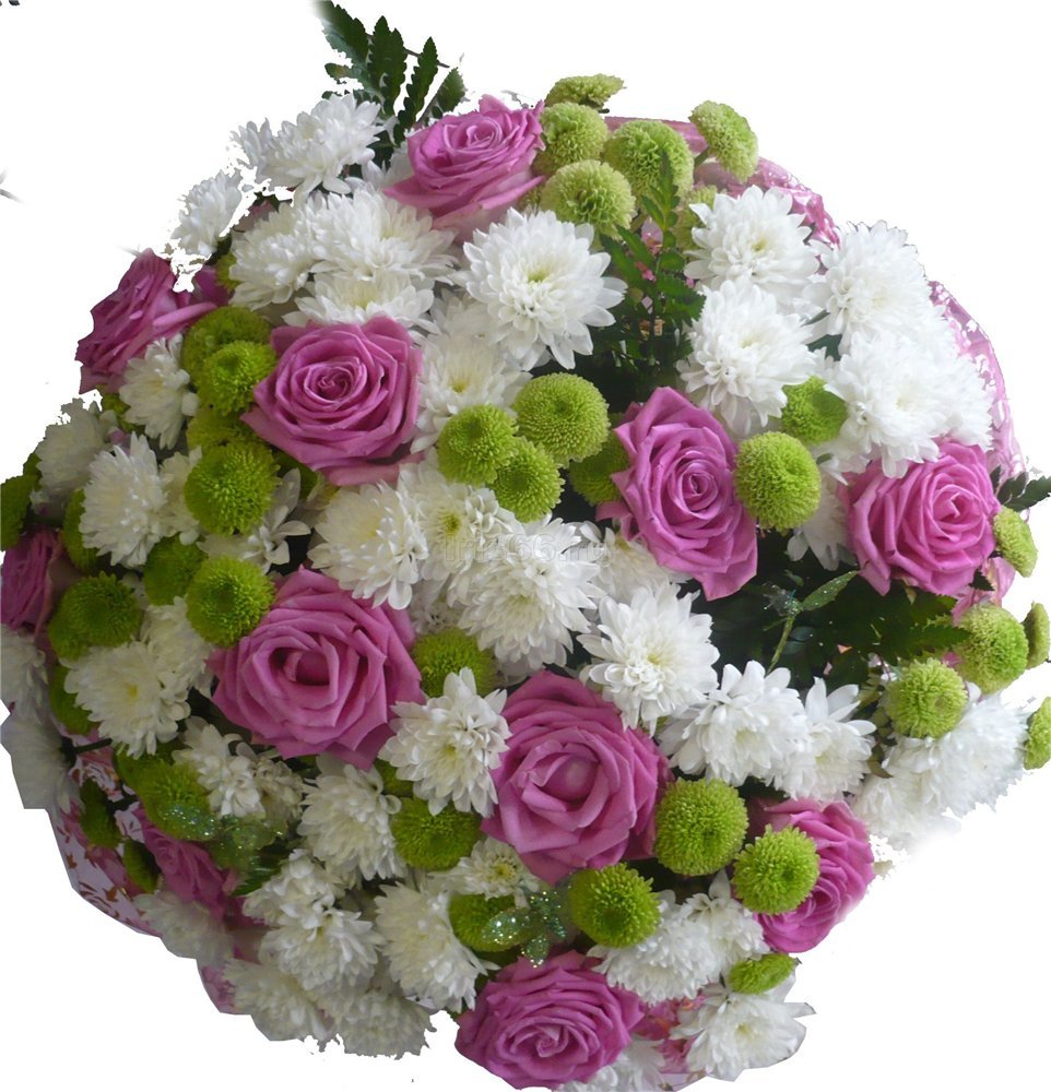 Букет хризантем картинки