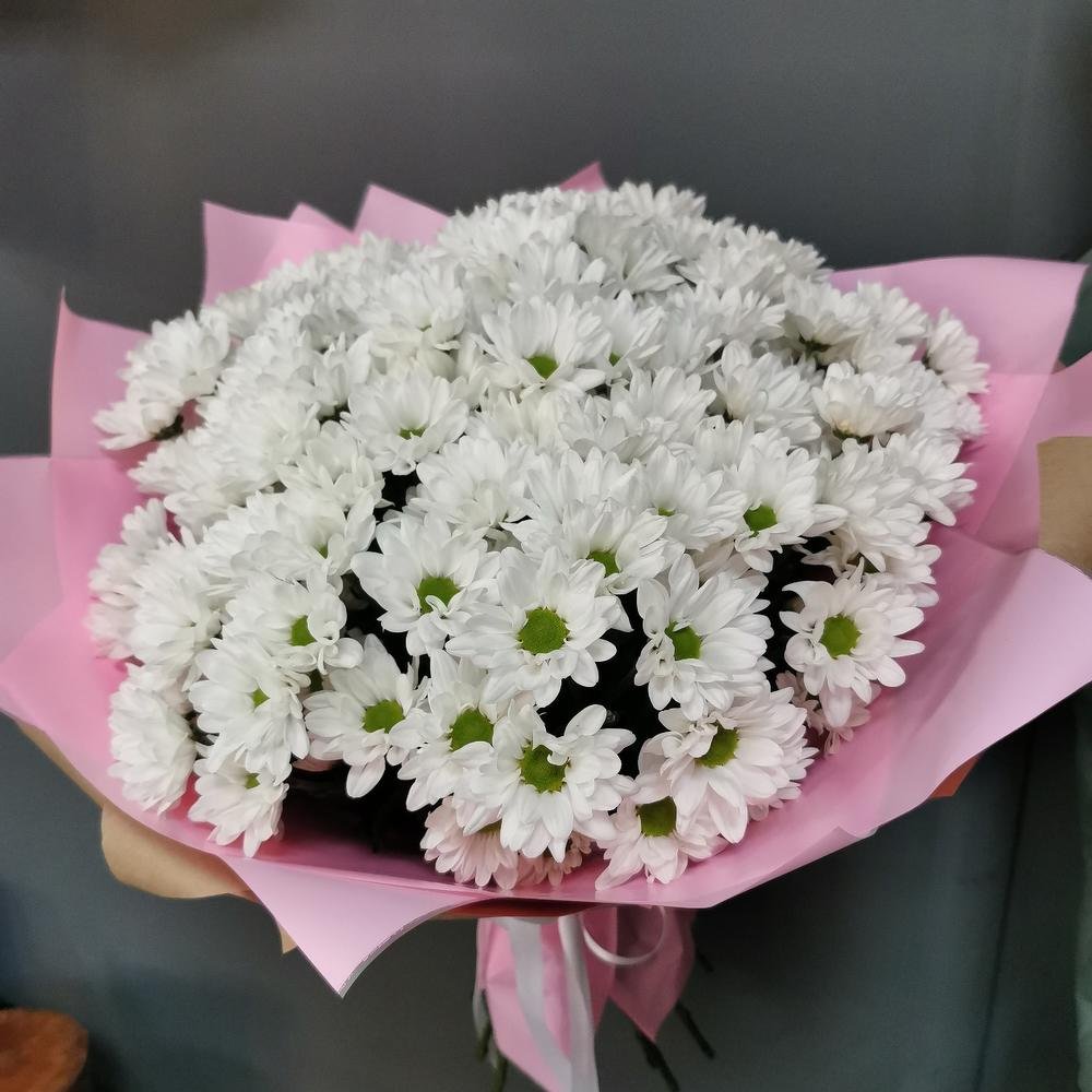 Хризантема кустовая вип