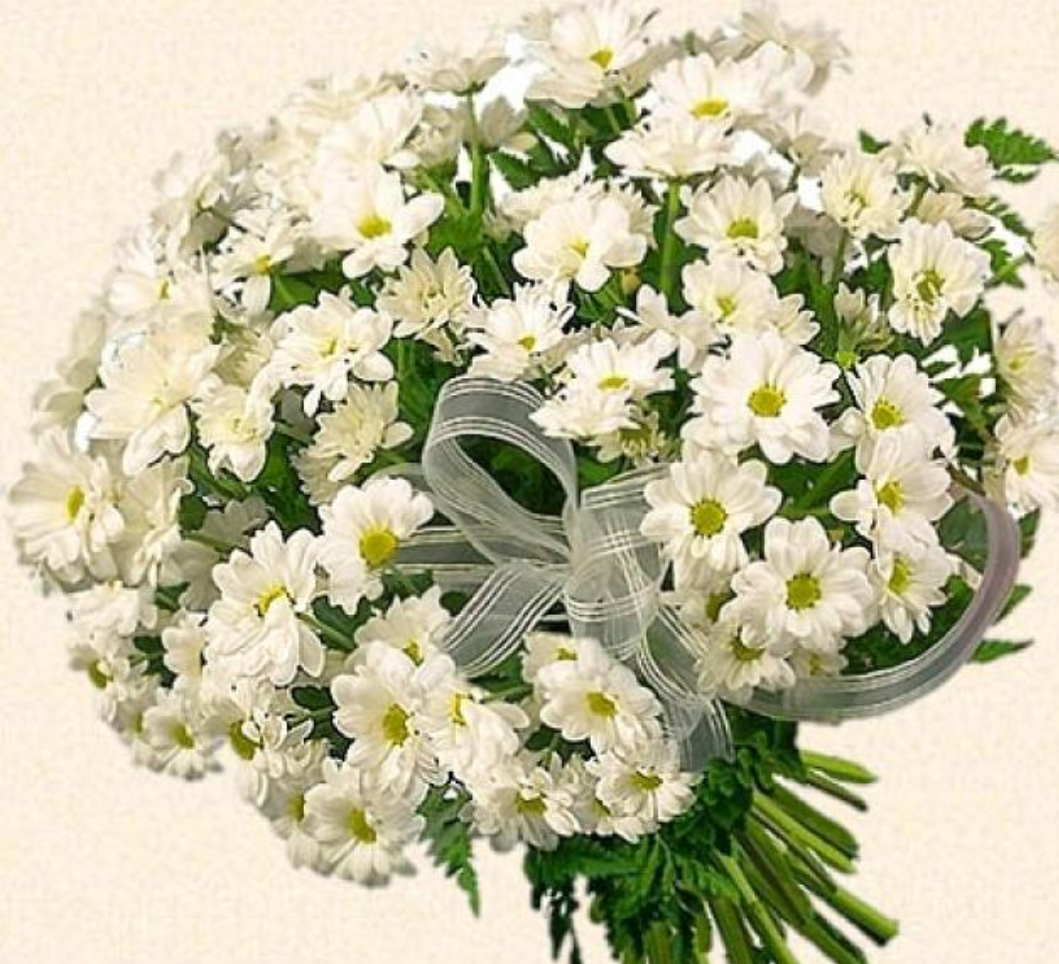 Хризантема кустовая микс букет