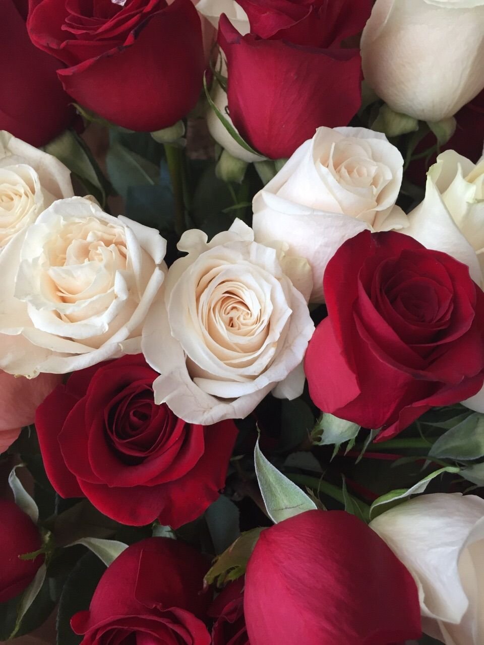 Букеты красных роз с добрым утром