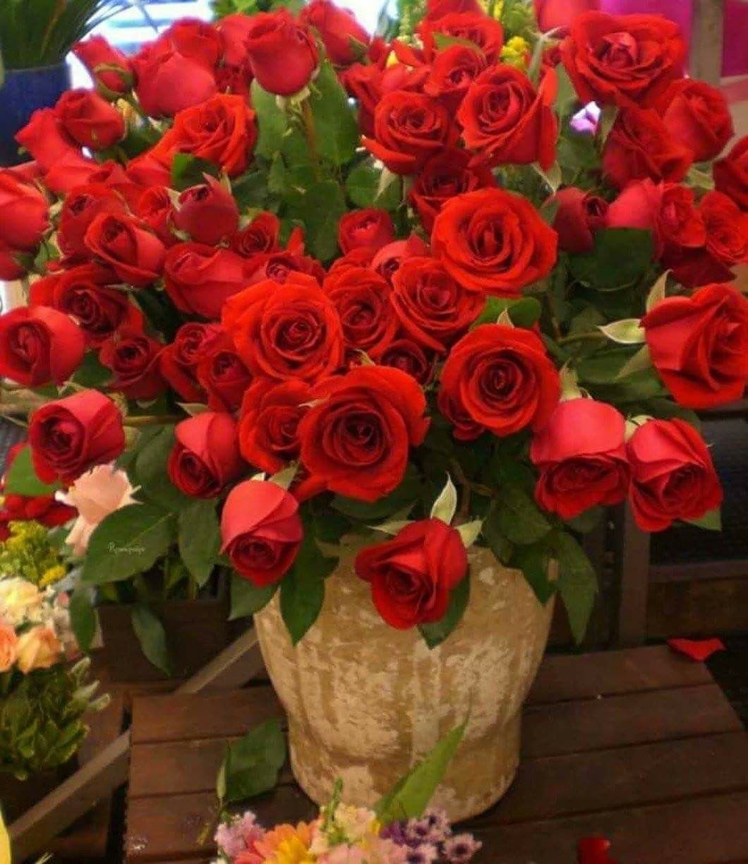 Доброе утро букет красных роз
