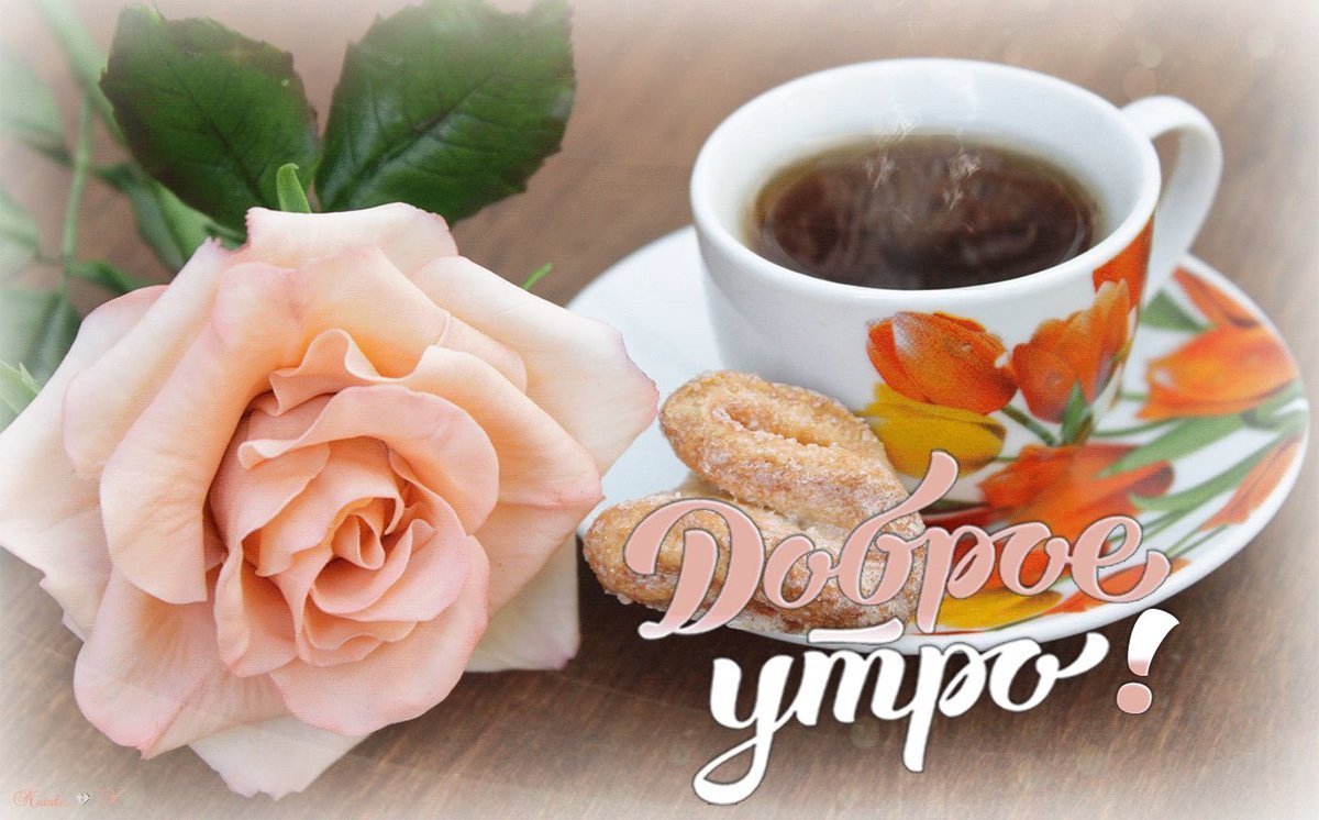 Стикеры с добрым утром и хорошего дня